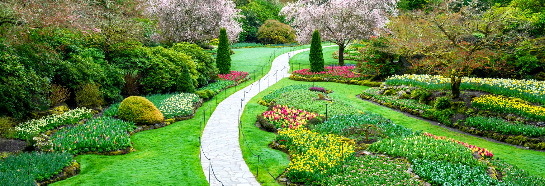 Pinnacle Garden Serene Garden